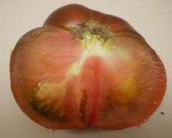 Mutant 25 domates çeşidinin gf geninde meydana gelen bazı değişimler erken stop kodonu oluşmasına neden olmakta ve klorofili parçalayan proteinlerin (enzimler) aktivitesi engellenmektedir.