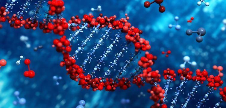 1970 Rekombinant DNA teknolojisi doğada kendiliğinden oluşması mümkün olmayan, çoğunlukla farklı biyolojik türlerden elde edilen DNA moleküllerinin, genetik mühendislik teknolojisiyle kesilmesine ve