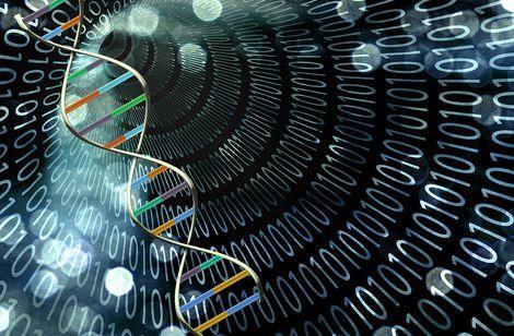 1984 DNA PARMAK İZİ 1985 yılında İngiltere'de Leicester Üniversitesi kalıtım maddesinin incelenerek bir kişiye has DNA karakterinin tespit edilebileceğini öne sürdü DNA parmak izi (DNA fingerprint)