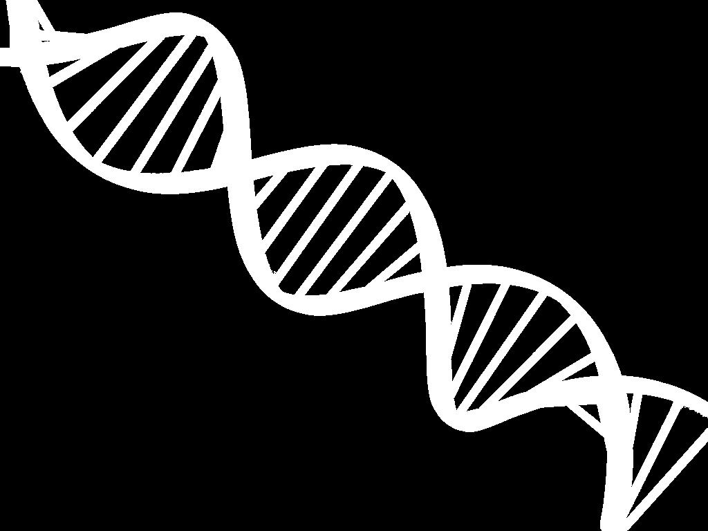 DNA (Deoksiribonükleik asit) Hücresel işlevleri yönetir. Şeker, fosfat ve azotlu bazları (nükleotid) içerir.