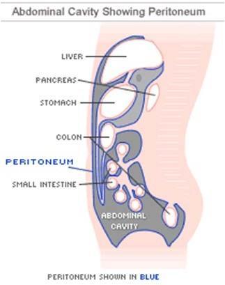 Peritoneal Karsinomatozis Primer peritonal kanserler veya GİS tümörlerinin, jinekolojik tümörlerin ileri evrelerinde peritoneal tutulum Periton rezektabl bir organ Periton lokoregional yayılım