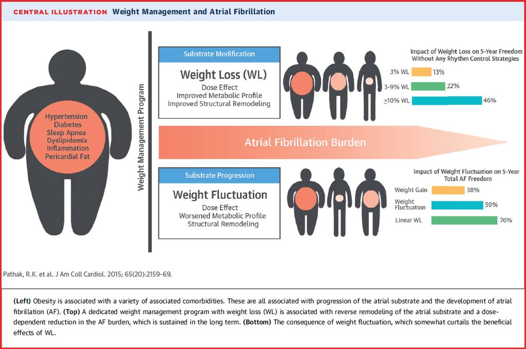 Uzun süreli sürekli kilo kaybı, AF yükünün önemli ölçüde azaltılması ve sinüs ritminin sürdürülmesi ile ilişkilidir.