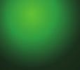 A) Yalnız I B) Yalnız IV C) I ve II D) II ve III E) III ve IV 5. Bitki hücrelerinde yer alan kofullar ile ilgili, I. Yeşil dışındaki renk veren pigmentleri depolayabilir. II. Zehirli maddeleri depolayarak bitkinin savunmasında işlev görebilmektedir.