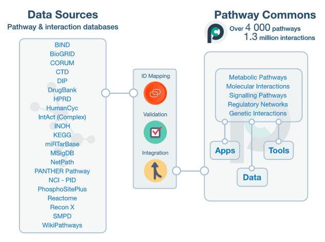 Pathway Commons Biyolojik etkileşi verilerini ve u ları analizi için faydalı araçları içeren bir web portalı. pathwaycommons.org Cerami, E. G., Gross, B. E., Demir, E.