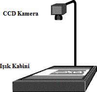 9 da, çizgi çizgi dijitalleştirme için Şekil 2.10 da ve dizi dijitalleştirme için Şekil 2.11 de verilmiştir. Şekil 2.9: Nokta nokta dijitalleştirme (Zscherpel, 2000).