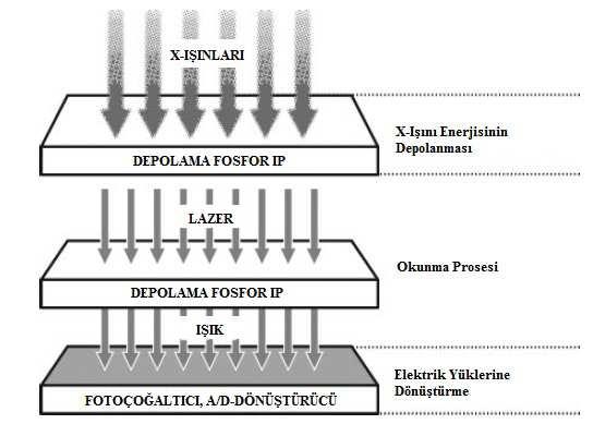 2.4.2.2 Bilgisayarlı radyografi (CR) Fosforlu görüntü plakalarının (IP) kullanıldığı bilgisayarlı radyografi sistemlerinden endüstriyel uygulamalarda yararlanılmaktadır.