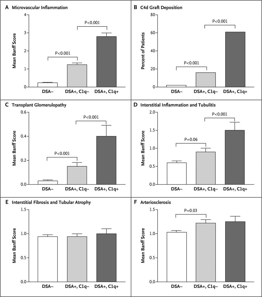 Phenotypic Features of Kidney-Allograft Injury, According to Anti-HLA