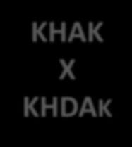 KHAK X KHDAK Philip T. Cagle. Lung Cancer and the Future of Pathology. Arch Pathol Lab Med.