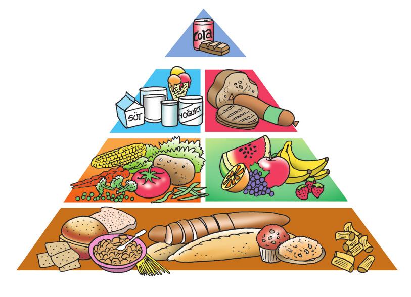 Besin Piramidi yaðlýlar ve tatlýlar et ve süt ürünleri meyve ve sebzeler tahýllar Fotoðraftaki çocuk en sevdiði yiyeceði tüketiyor ama