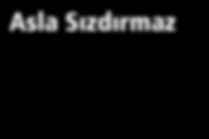 20 288,88 KAPAKLI KELEPÇE 32212 20 2000 0,50 32214 25 2000 0,64 32216 32 1000 0,81