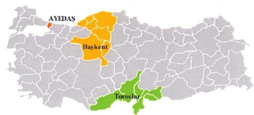 1. Amaç Bu rapor Sermaye Piyasası Kurulu nun 12 Şubat 2013 tarih ve 5/145 sayılı ilke kararına dayanılarak, TSKB A.Ş. tarafından Tacirler Yatırım Menkul Kıymetler A.Ş. nin hazırladığı Enerjisa Enerji A.