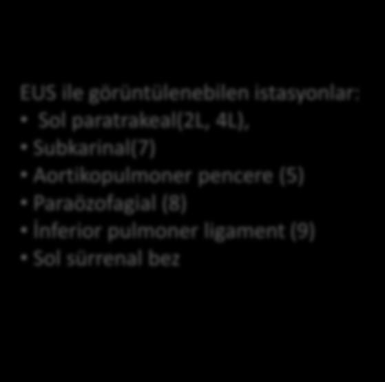 istasyonlar: Sol paratrakeal(2l, 4L), Subkarinal(7)