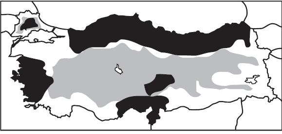 MISIR : Adana, Konya, Mardin. Akdeniz bölgesi 1.dir.