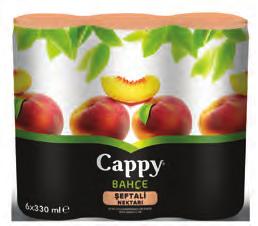 Cappy MeyveNektarıKarışık/Şeftali6x330ml Lipton