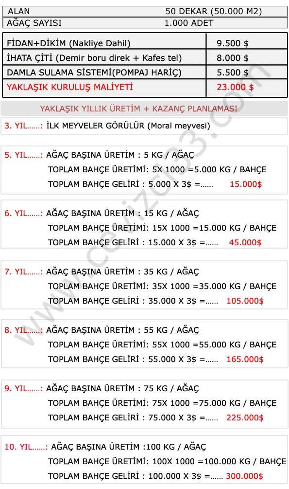 Fizibilite Raporu Temel amaç, düşünülen yatırımın faydalarını ve kıt olan kaynakların alternatif ekonomik kullanımlarını belirleyerek en rasyonel yatırım kararının alınmasını sağlamaktır.