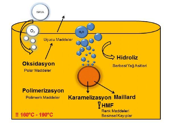 9 2.3.3.3. Polimerizasyon Kızartma yağlarının esas bozunma ürünleri uçucu olmayan polar maddeler, triaçilgliserollerin dimerleri ve polimerlerdir.