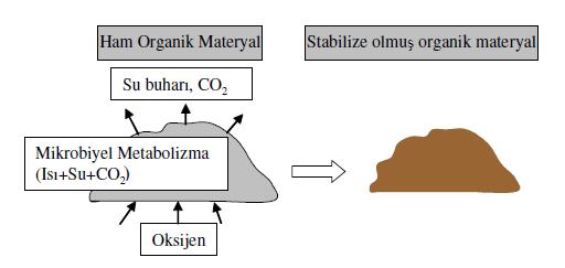 Kompostlaştırmanın genel hedefleri; ayrışabilir organik maddeleri biyolojik olarak stabil maddeye dönüştürmek, katı atıklarda bulunabilen patojenleri, böcek yumurtalarını ve diğer istenmeyen