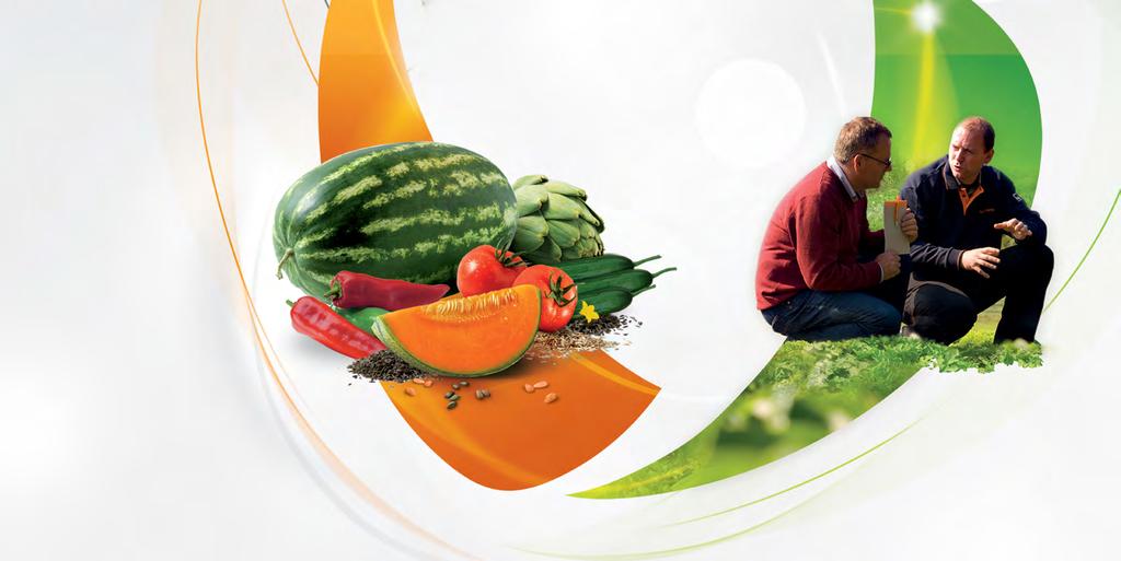 Nunhems Tohumculuk A.Ş. Türk sebze tohumu pazarında en güçlü ilk 3 firma arasındadır.