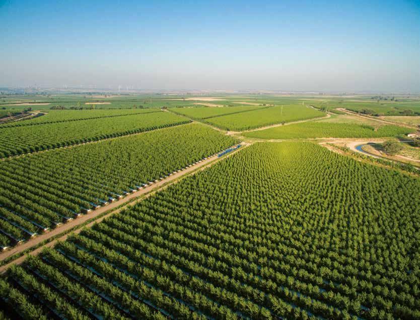 8 çiftlik 30.000 dekar arazi 5.000.000 meyve ağacı 3 meyve suyu fabrikası 1 paketleme tesisi 230.