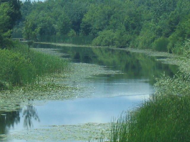 Acarlar, Taraklı, Sapanca, Lake