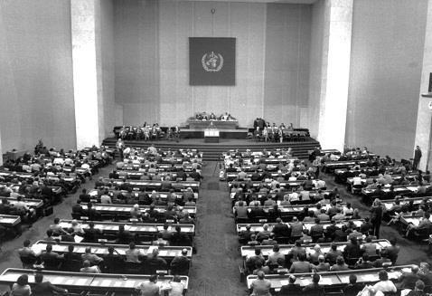 DSÖ nün Kökenleri Milletler Cemiyeti Sağlık Örgütü nün, Birleşmiş Milletler in Sağlık alanındaki ihtisas kuruluşuna dönüştürülmesi ile 1948 yılında kuruldu.