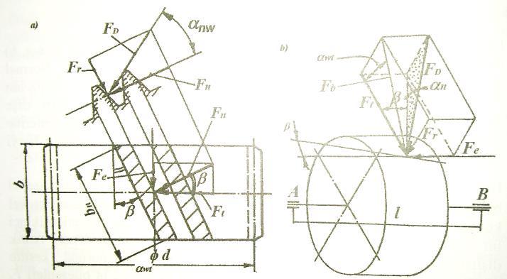 üstten baktığımızda diş helis doğrultusuna diktir, dişe temas noktasında eksenel yönde F e ; çevresel yönde de F t bileşenlerine ayırabiliriz.