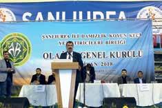 ŞANLIURFA İLİ KOYUN KEÇİ YETİŞTİRİCİLERİ BİRLİĞİNDE EYYÜPOĞLU GÜVEN TAZELEDİ Şanlıurfa İli Damızlık Koyun Keçi Yetiştiricileri Birliği olağan genel kurul toplantısı 15 Nisan 2018 tarihinde 11