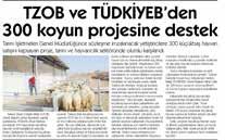 Cumhurbaşkanının açıkladığı 300 koyun projesi ile ilgili yaptığı değerlendirmede projeyi