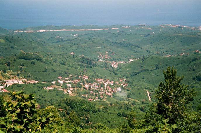 Denizden yüksekliği 50-200 metre civarında olan köyde 2987 dekar fındıklık alan bulunmaktadır. Köy günümüzde 82 haneden oluşmaktadır.