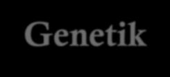 Genetik Genetik Ve Antropoloji İlişkisi- Genetiğin Tarihçesi Organizma Yaşamında Kalıtım-Hücre-DNA- Kromozomlar-DNA nın Yapısı Hücre Döngüsü-Mitoz Ve Mayoz Bölünme Spermatogenez- Oogenez-