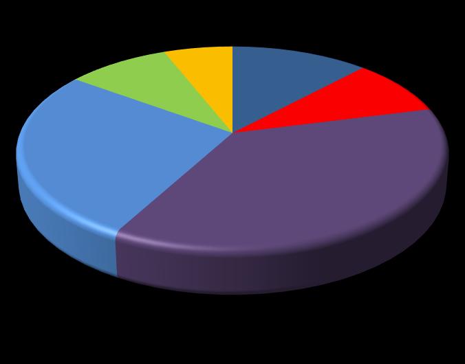 Ek Müşteri çeşitliliği Müşteri Gruplarının Toplam Satışlar İçindeki Payı 2014 2015 2016 2017 Kurumsal; 9% Toptancı; 26% SEÇ Market; 2% Bireysel; 6% HORECA; 14%