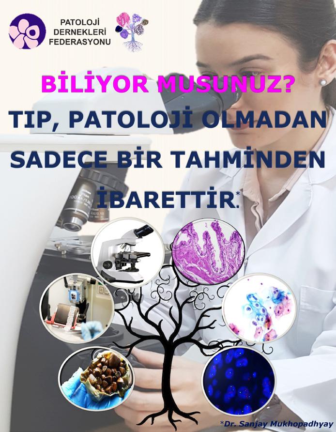 SoMe bu yıl PathArt Mikrofotoğrafi Yarışması nın ikincisini düzenledi. Yarışmanın Türk Patoloji Dergisi nin sosyal medya hesaplarından duyurulması dergimizin tanınırlığına da katkıda bulundu. 6.