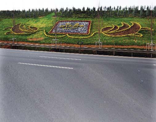 Haber 3 Başkent 6 milyon kış çiçeğiyle donatılıyor A nkara