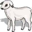 Küçükbaş hayvanlar arasında yer alan koyun sayısında bir önceki yıla göre %1,7 oranında