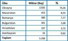 2016 yılında 2015 yılına göre; kg bazında toplam canlı ve büyükbaş ithalatı %125, küçükbaş ithalatı ise