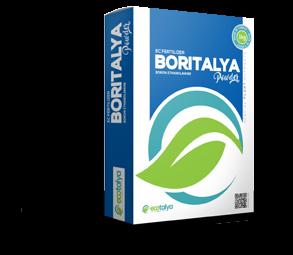 Borcatalya has a unique formulation of calcium that is absorbed by the plant effectively and it does not cause any damage to the cell wall during the process.