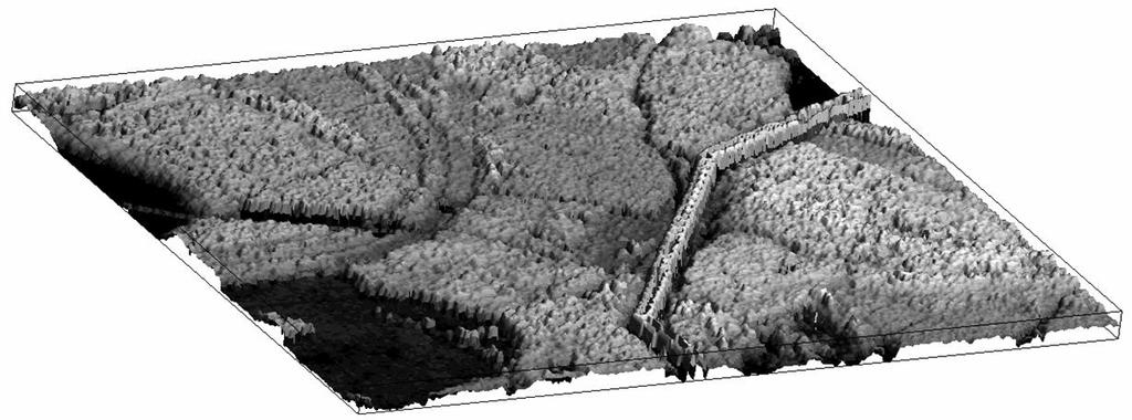 ORMAN EKOSİSTEMLERİ Biyokütle, Karbon ve Ağaç Hacminin Tahmini LiDAR