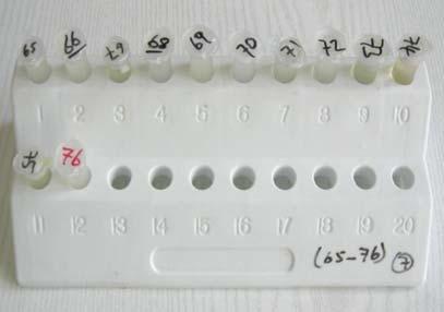 Monovalent bir test kiti ile aynı anda toplam 12 numuneye 5 tip (A, B, C, D, E) enterotoksin tespiti için analiz yapılabilmektedir.