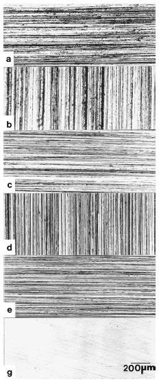 Uygun bir şekilde zımparalanmış numunenin yüzeyindeki çiziklerin görünümleri; (a) 120grit, (b) 240