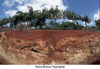 Kırmızı Topraklar (Terra Rossa) Akdeniz iklim bölgesinde kireç taşı (kalker) üzerinde oluşan topraklardır.