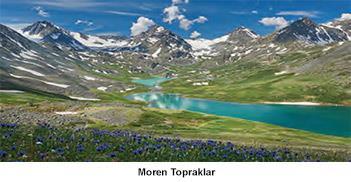 Moren Kutup bölgelerinde ve kalıcı kar sınırları çevresinde buzulların getirdiği materyallerin biriktirilmesi ile oluşan topraklardır.