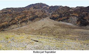 Regosoller Dağ eteklerinde biriken kum boyutundaki malzemeler ile akarsuların ve volkanlardan çıkan kum boyutundaki malzemeler üzerinde gelişen verimli