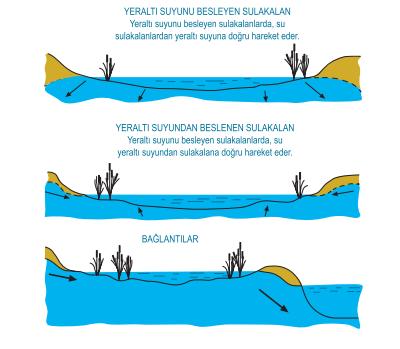 HİDROLOJİSİ Hidrolojinin Sulak alan Ekosistemi İçin Önemi Hidroloji bir sulak olanı oluşturan özellikleri ve Hidroloji