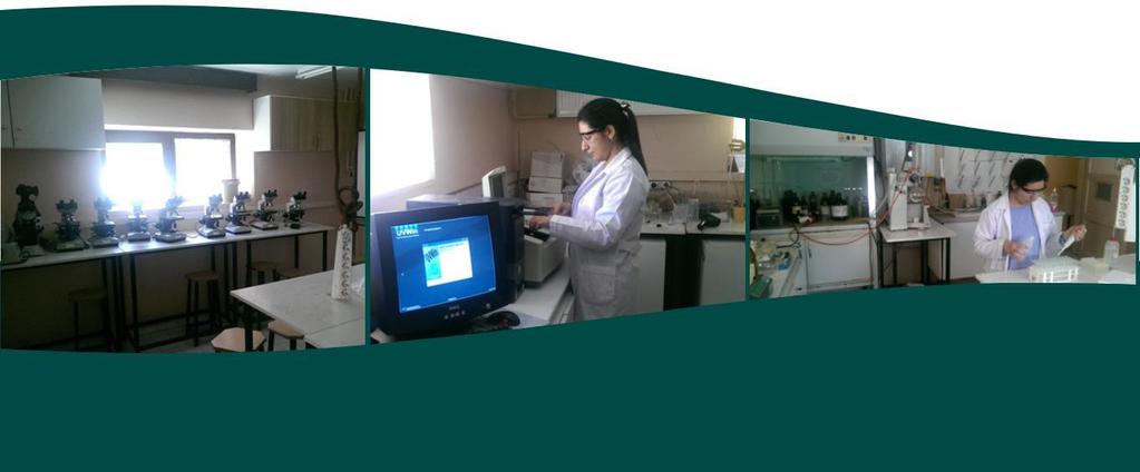 Tıbbi Laboratuvar Teknikleri Programı, Meslek Yüksekokulumuz bünyesinde 2001-2002 Eğitim-Öğretim yılında öğretime açılmıştır.