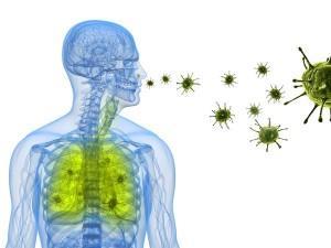 Streptococcus pneumonia