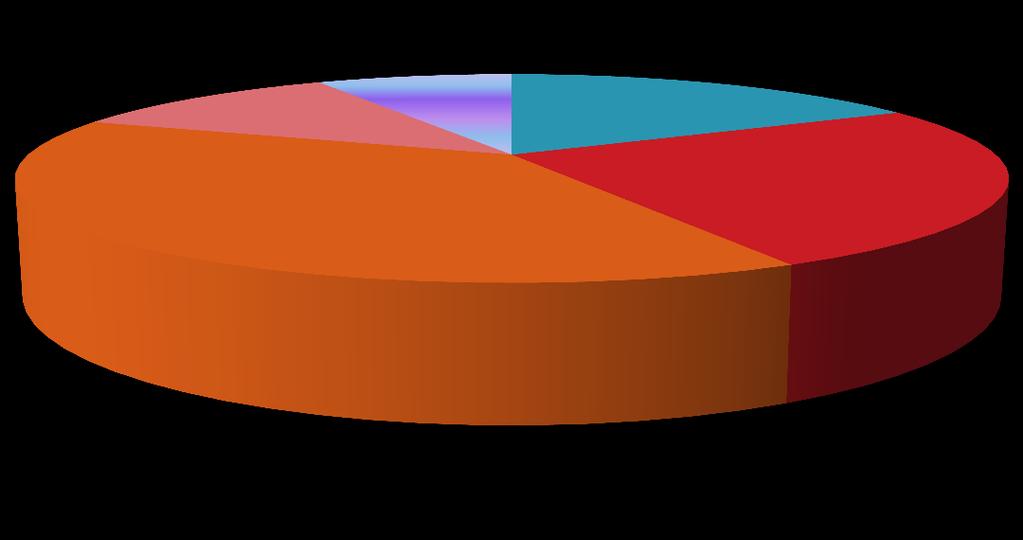 11% 39% 8% 17% 25% İlk-Orta Öğretim Ön Lisans Lisans Y.