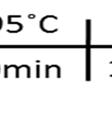 (Qiagen, Hilden, Germany) olacak şekilde toplam reaksiyon volumü her bir kuyucukta 20 µl yee tamamlandı.