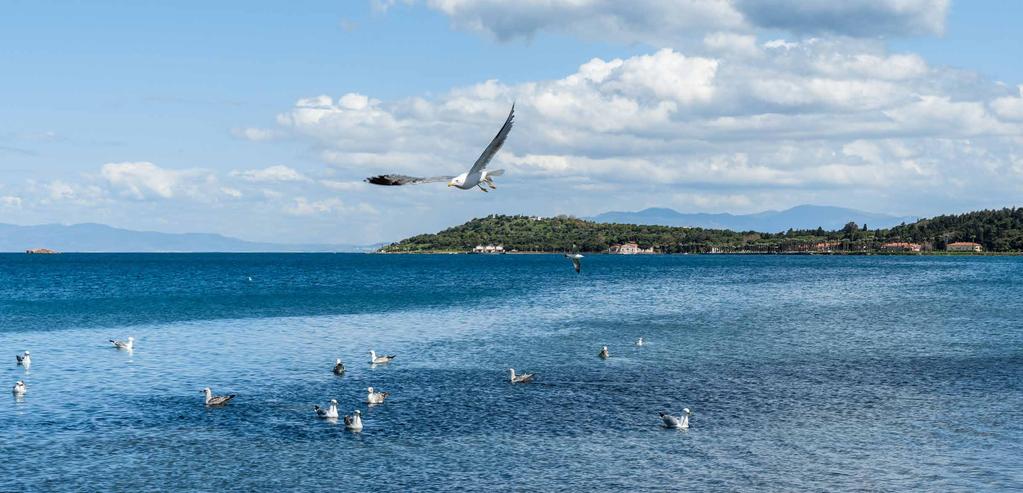 İzmir in URLA başta olmak üzere birçok birbirinden güzel ilçelerinde modern,sıcak ve kaliteli yeni yaşam alanları inşa etmek üzere 2007 yılında fiili çalışmalarına başlayan ve 2013 yılında