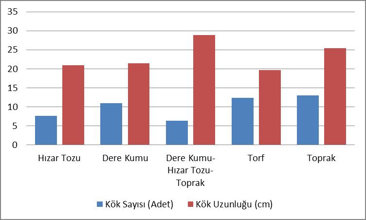 Araştırmada, IBA hormonunun %0,5 lik konsantrasyonunun doğal geniş yapraklı yeşil çeliklerde %100, sert çeliklerde %80, kültür formunda ise yine %100 köklenme sağladığı tespit edilmiştir (Turna ve