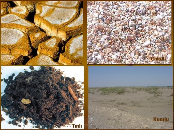 TOPRAK BÜNYESİ (TEKSTÜR) Bir toprak parçası içindeki mineral maddelerin esas unsurunu teşkil eden kum, silt ve kilin belli oranlardaki karışımına bünye denir.